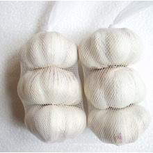 Fresh Garlic/4.5cm; 5.0cm; 5.5cm etc